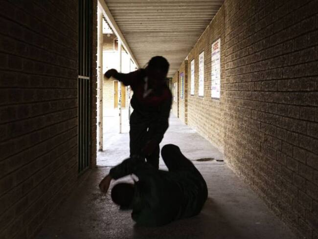 Imagen de referencia