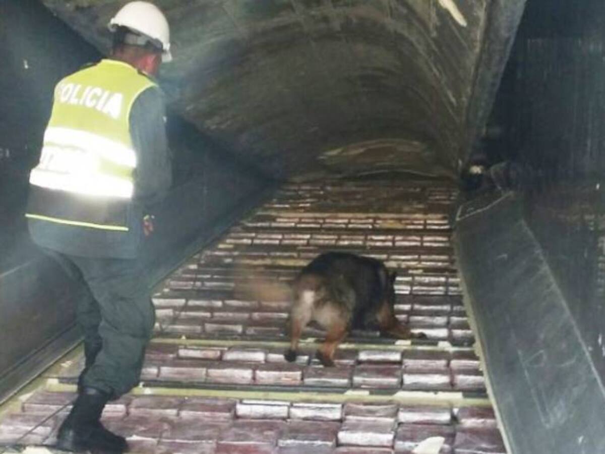Incautan más de 700 kilos de coca en Cartagena pertecientes al clan Úsuga
