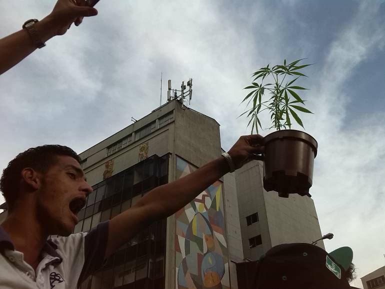 Marcha a favor del consumo de la marihuana en Medellín. 