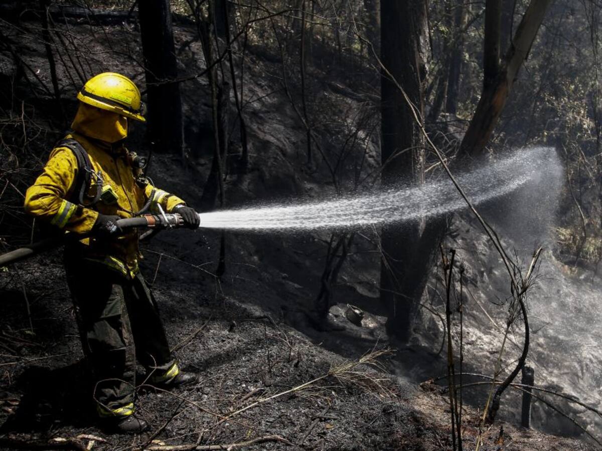 Alerta en Colombia por incendios forestales en temporada de sequía