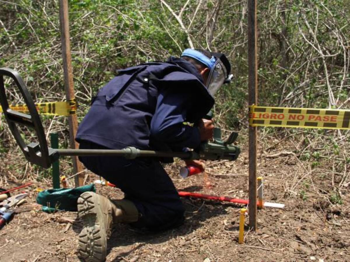 Las Farc inician destrucción de sus minas y explosivos