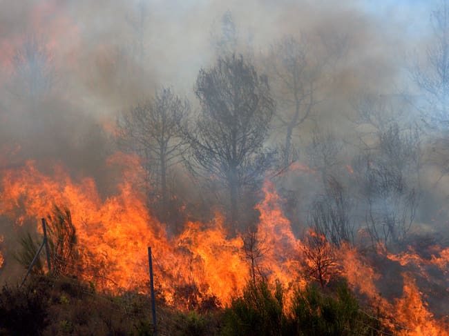 Incendio, imagen de referencia. Foto: Getty Images