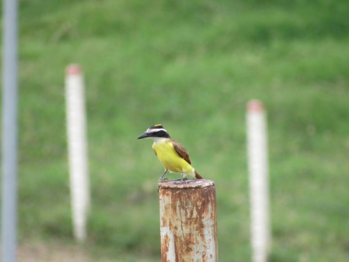 Martes 12 de mayo, las noticias más importantes de Armenia y el Quindío