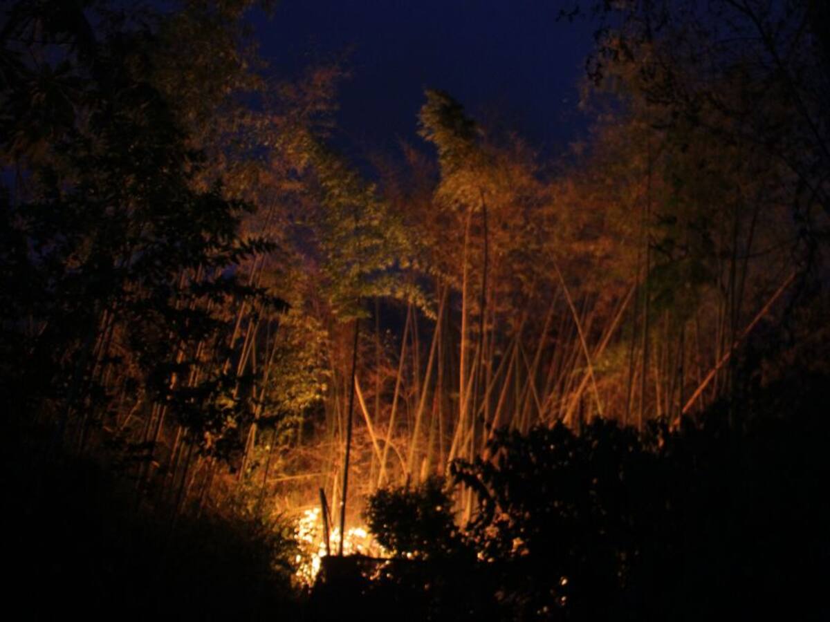 Incendios en La Macarena serían causados por disidencias