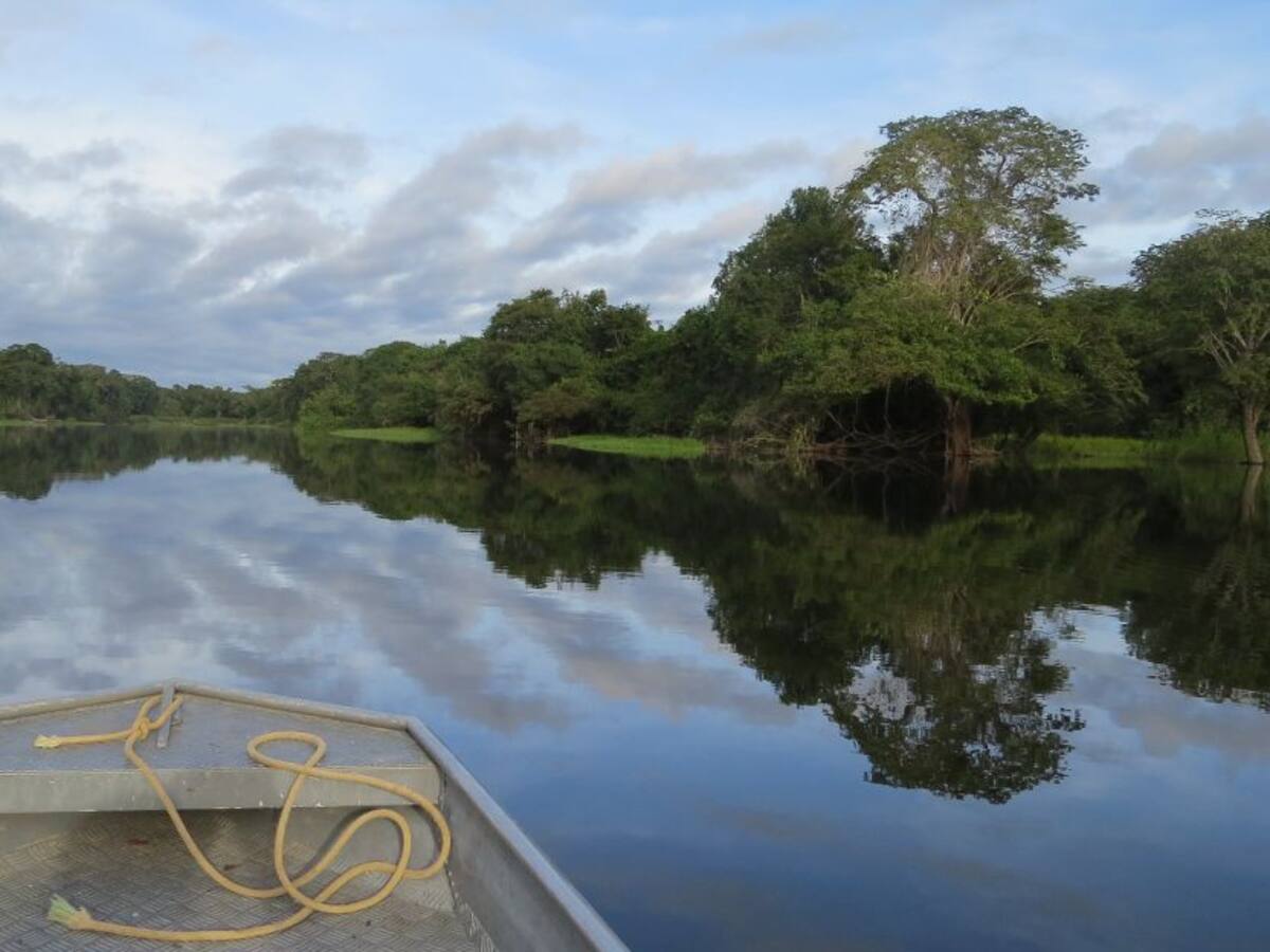 Amarumayu: el río serpiente