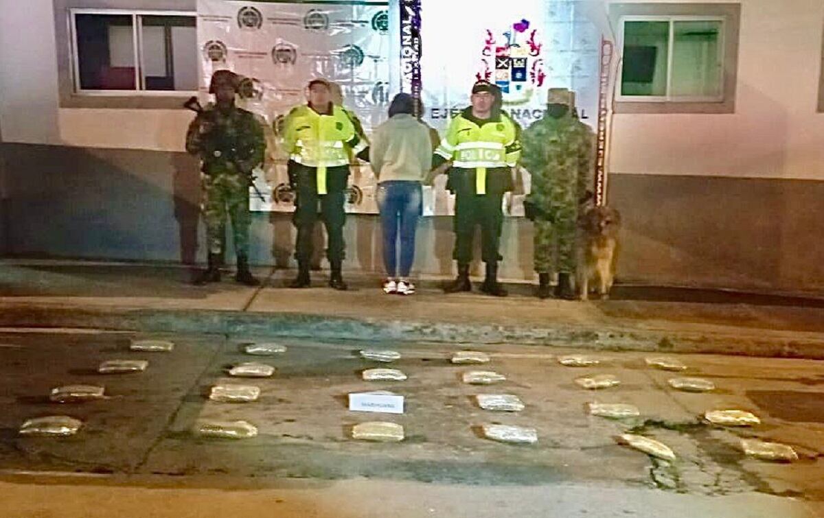 Cargamento de droga fue incautado por el Ejército Nacional en la vía a la Línea en el Tolima.