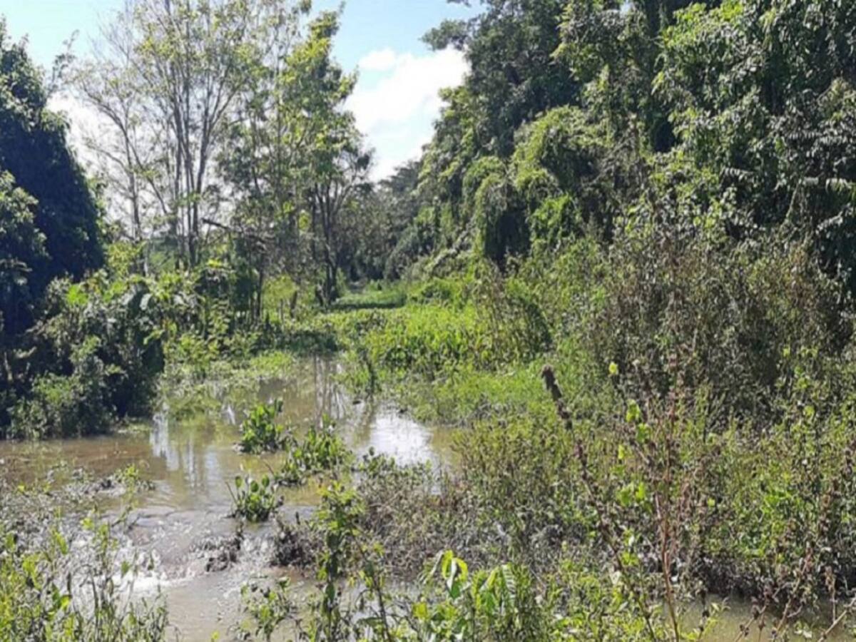 70 hectáreas de cultivos inundados en Santa Lucía por ola invernal