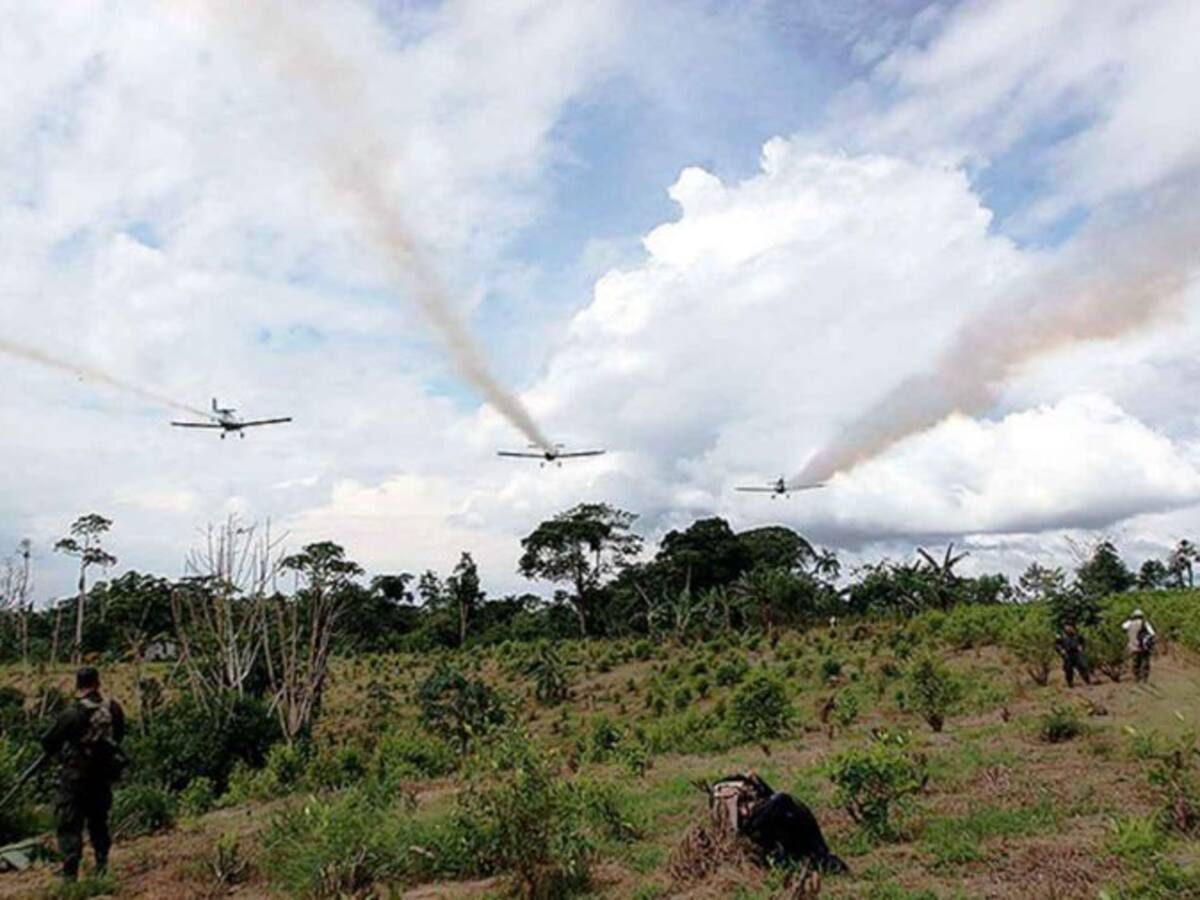 Este viernes, en Antioquia vuelven a fumigar con glifosato