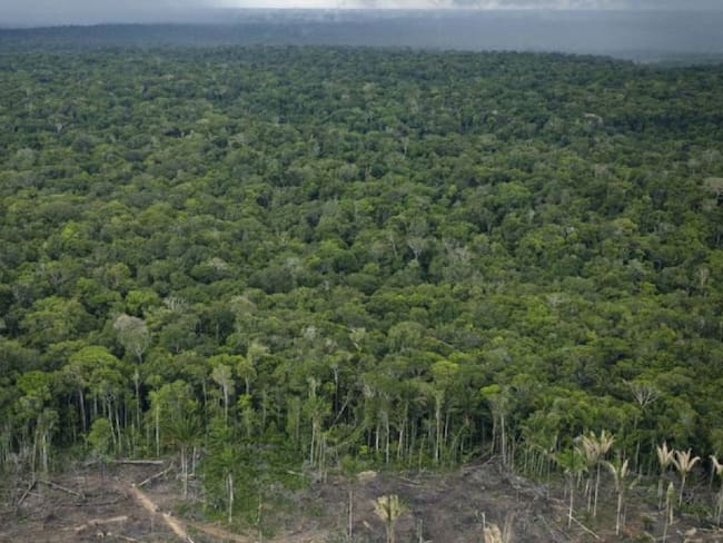 La deforestación en Amazonía brasileña alcanza su mayor nivel en una década