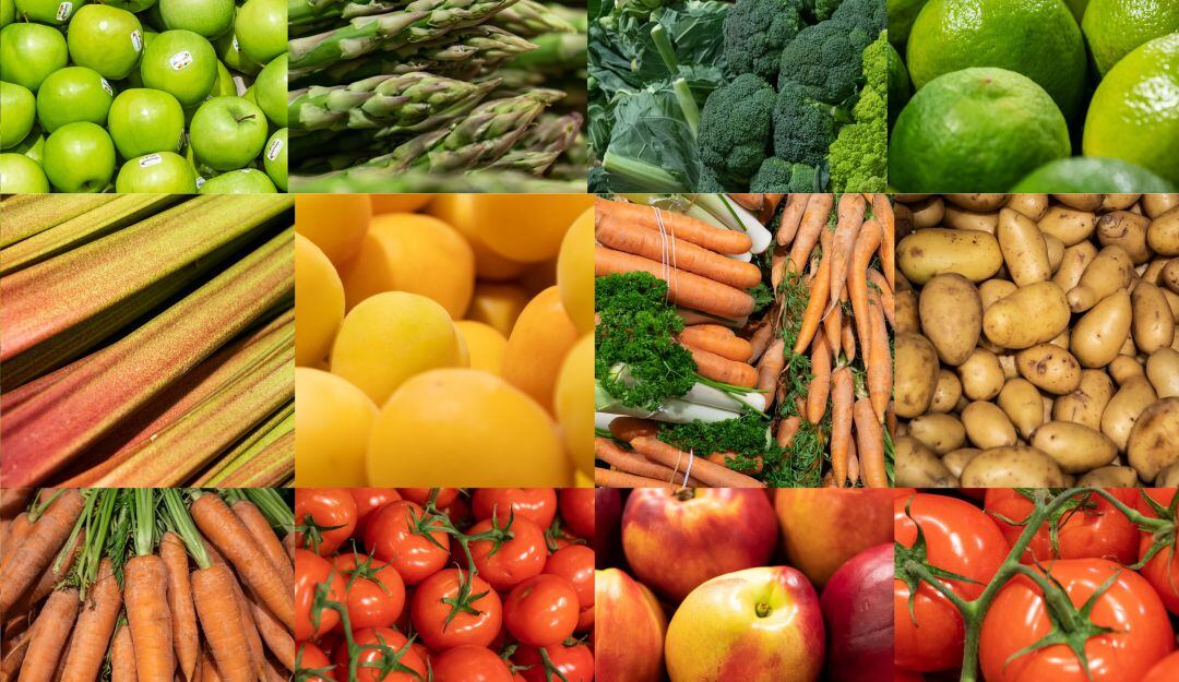 La alimentación es determinante en la crisis ambiental. Tome CONCIENCIA!