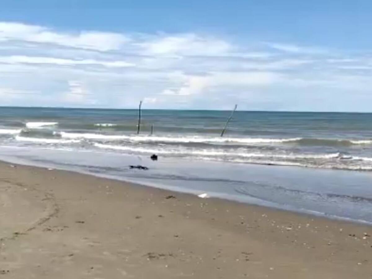 Los dos heridos en Manzanillo del Mar fueron producto de una riña: Policía