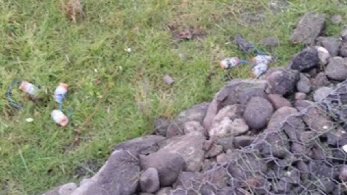 Desactivan cargas explosivas cerca de una escuela en el sur de Nariño