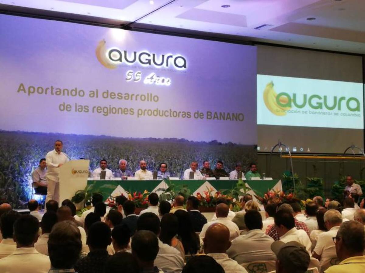 En Santa Marta se desarrolla el VIII Congreso Bananero
