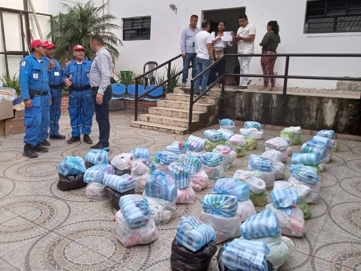 Concejal de Rosas, Cauca: “Vienen de Cali a censarse para recibir ayudas”