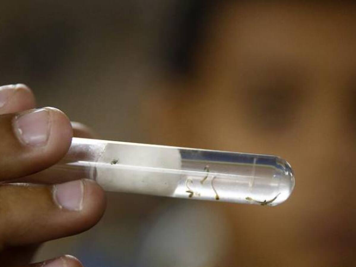 Confirman cuatro casos de Guillain - Barre en Córdoba