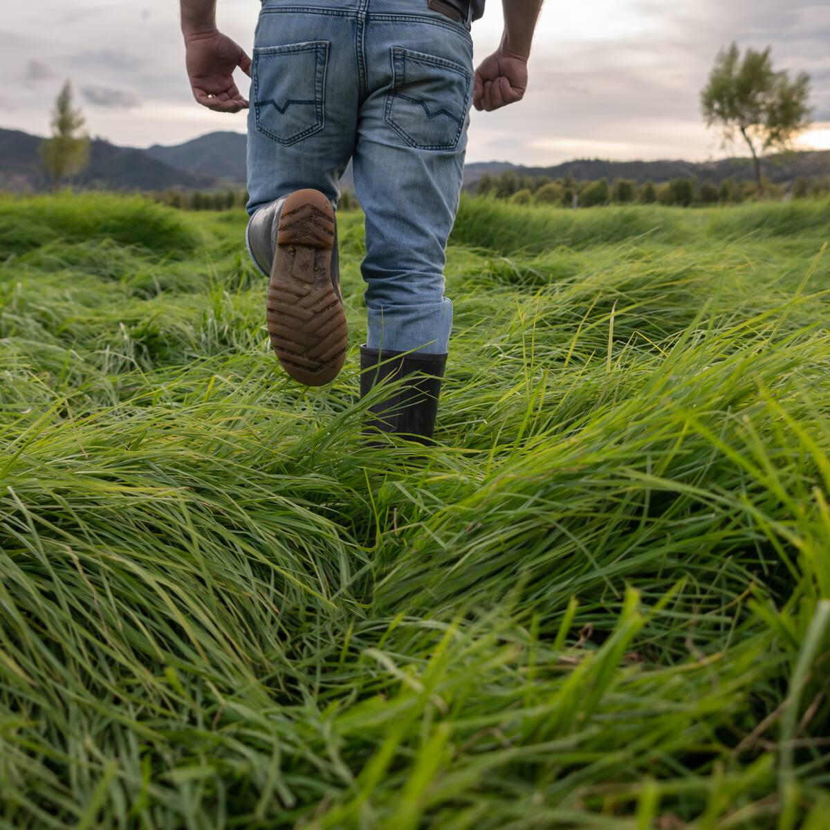 Festival Internacional Campesino, un homenaje a la cultura y el trabajo de los colombianos