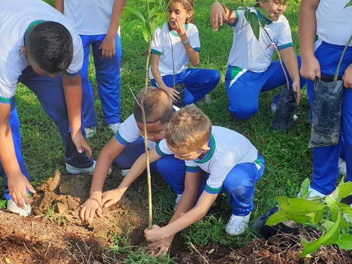 Montería ganó el reconocimiento del One Planet City Challenge en Colombia