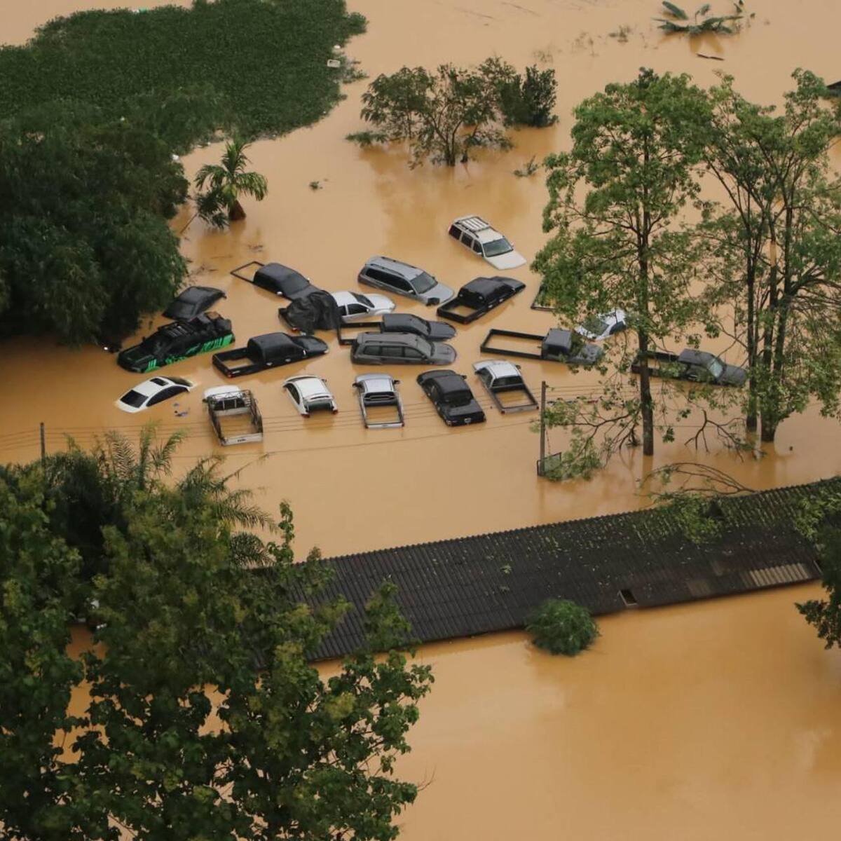 Suben a 145 los muertos por las inundaciones en el sur de Tailandia