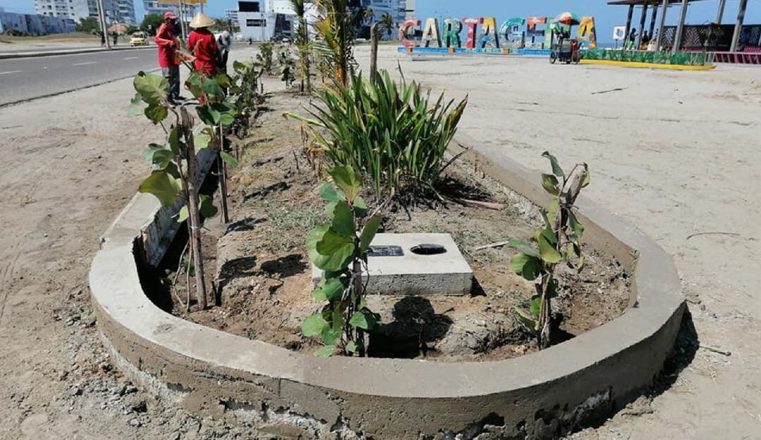 Fundación Verde que te quiero Verde