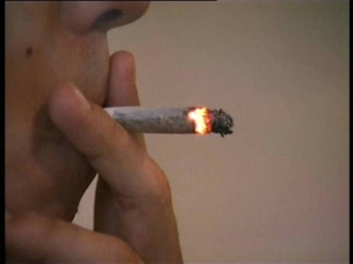 El 10 de diciembre se votará ley que regula marihuana en Uruguay