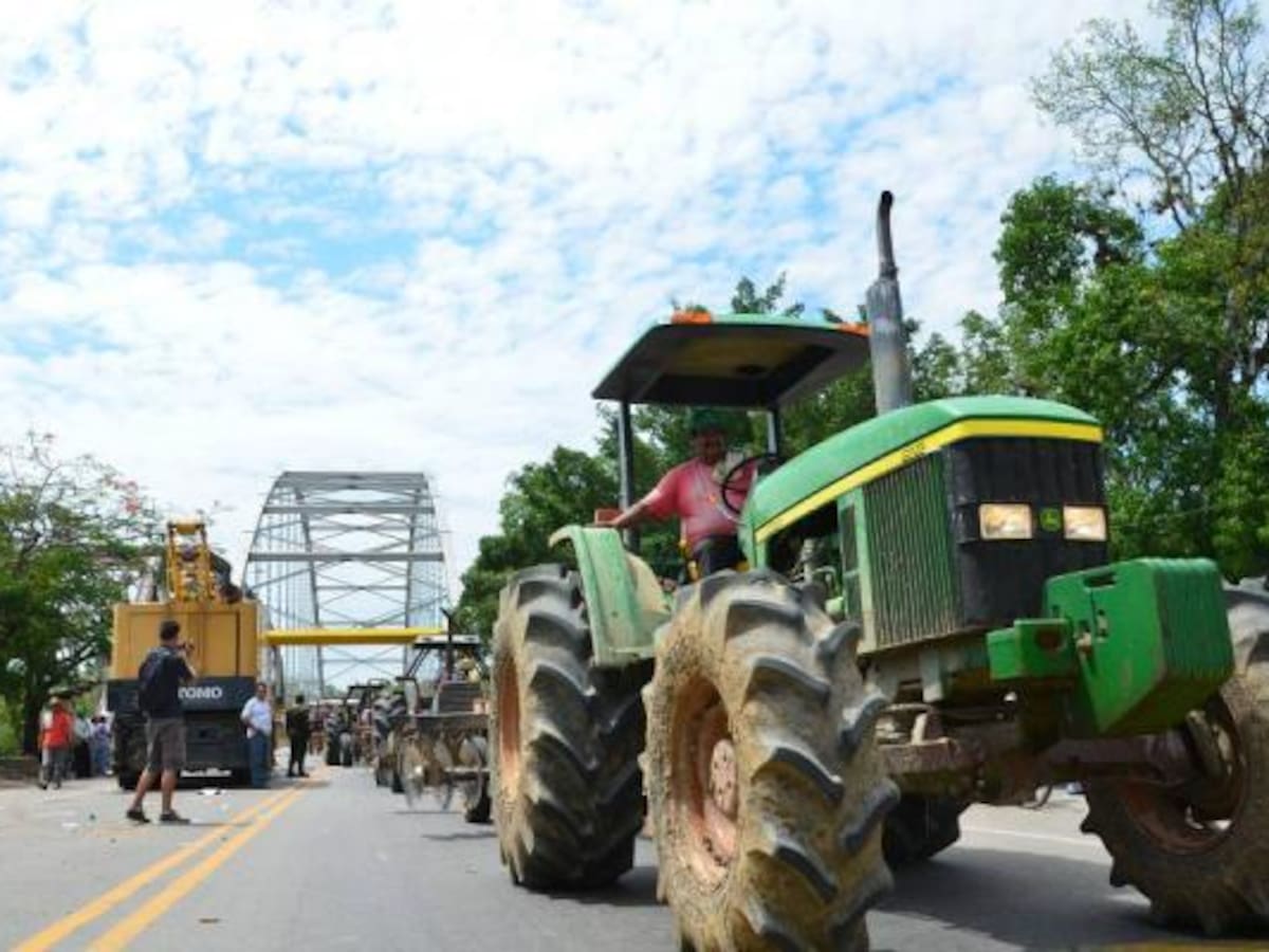 Cultivadores de arroz denuncian incumplimientos del gobierno nacional
