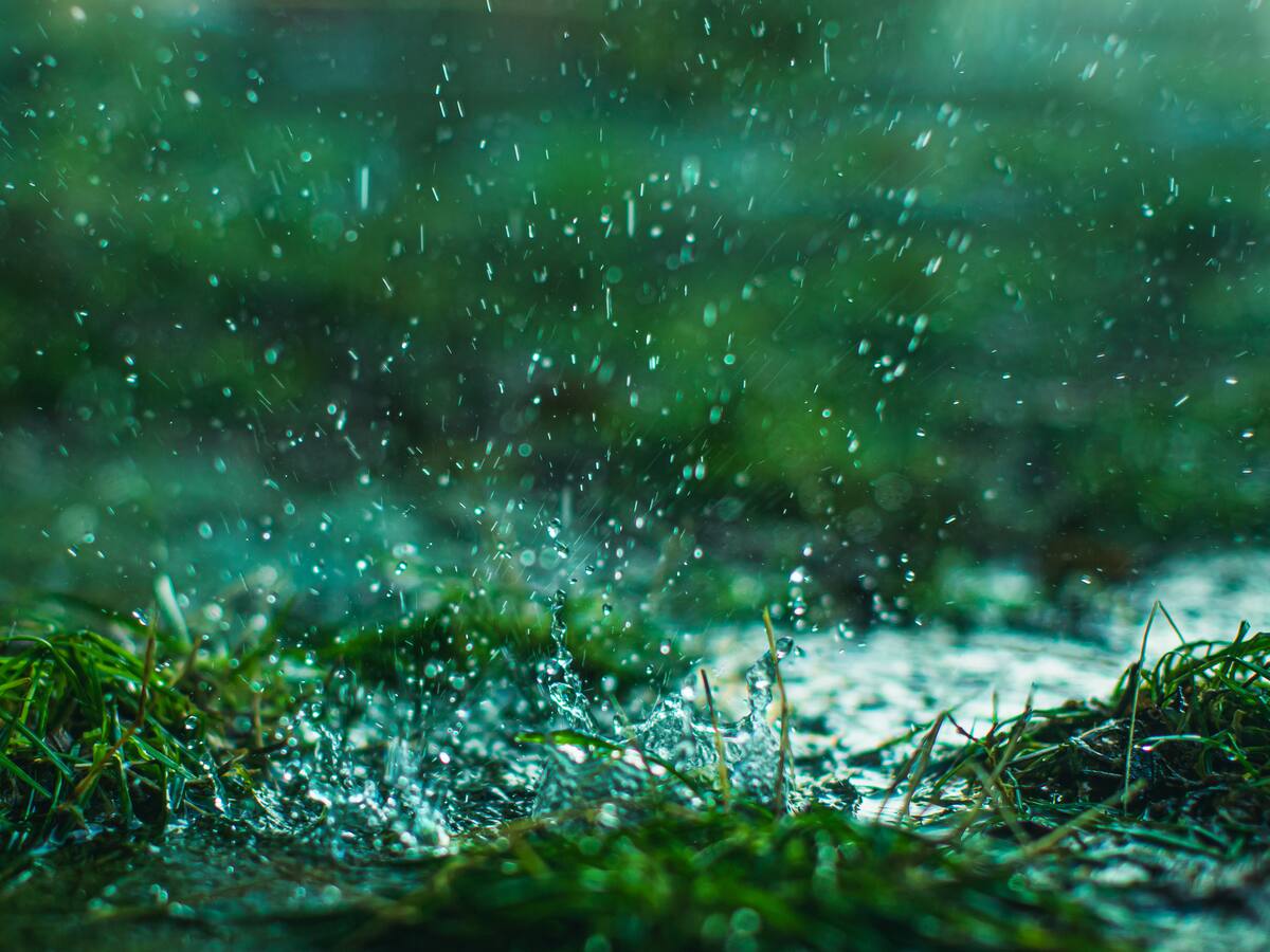 Las lluvias causan daños a zonas agrícolas y pecuarias del Huila