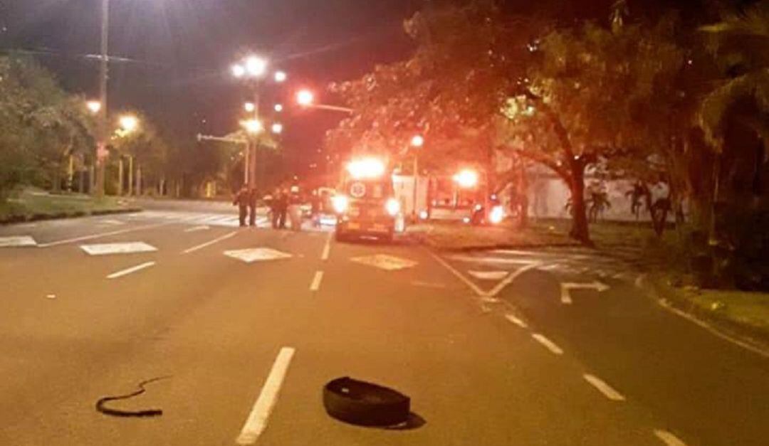 Imagen de referencia