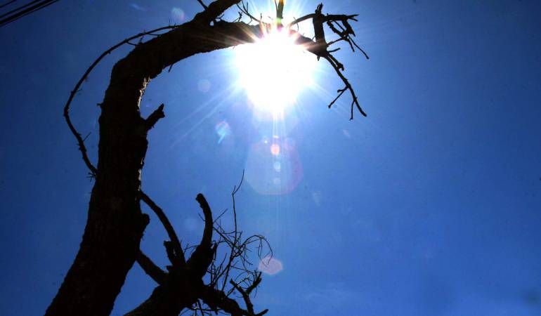Las temperaturas altas en varias zonas del Tolima