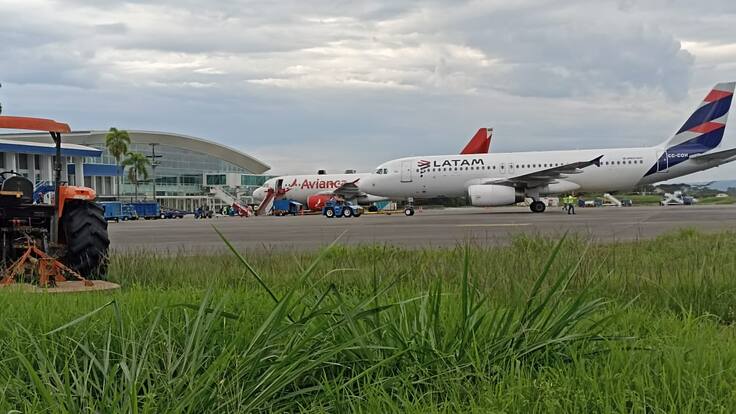 Piedad Correal, congresista Quindío