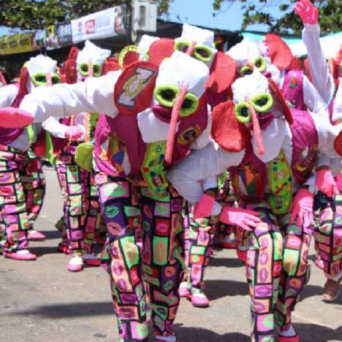 "Consideramos oportuna la decisión de aplazar los Carnavales": Elsa Noguera