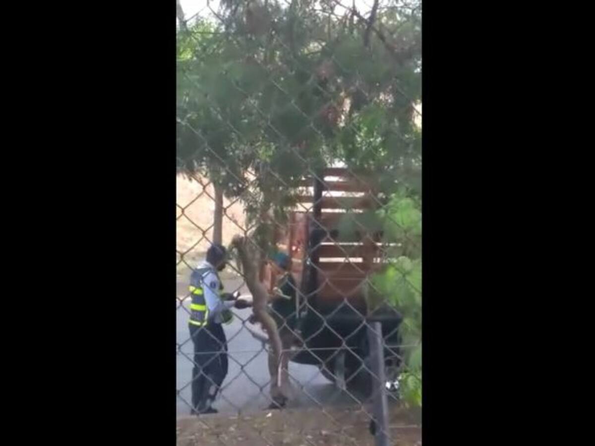 Guarda de transito quedó registrado en vídeo mientras recibía soborno