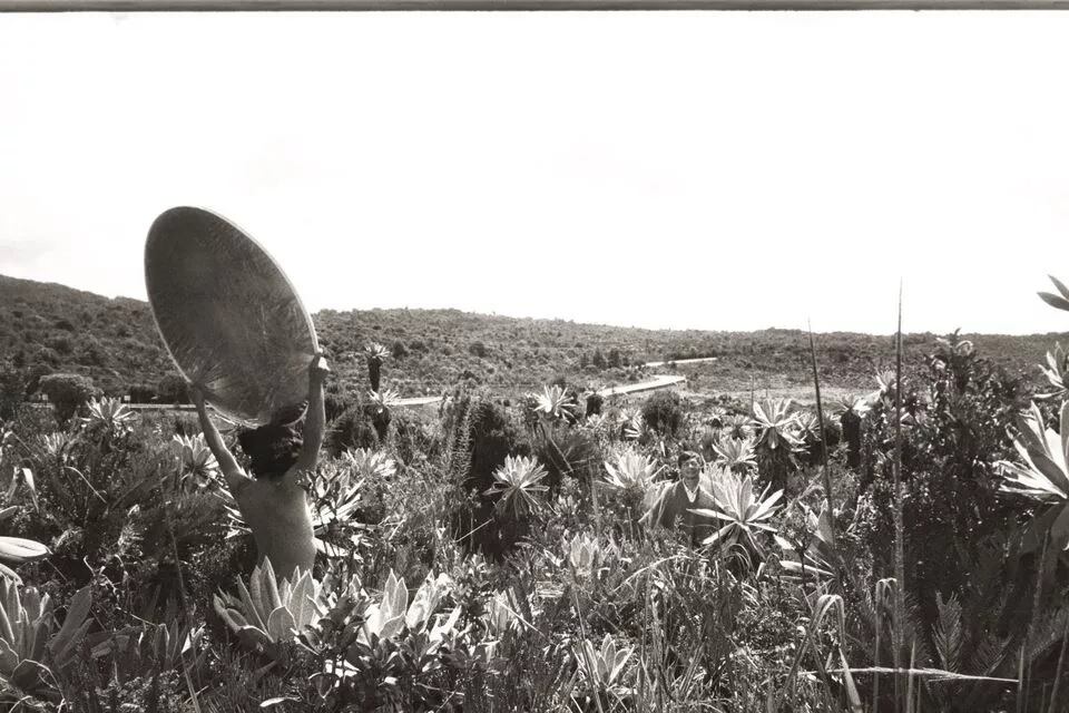 Cortesía: “Sour Lake” de Andrés Dávila