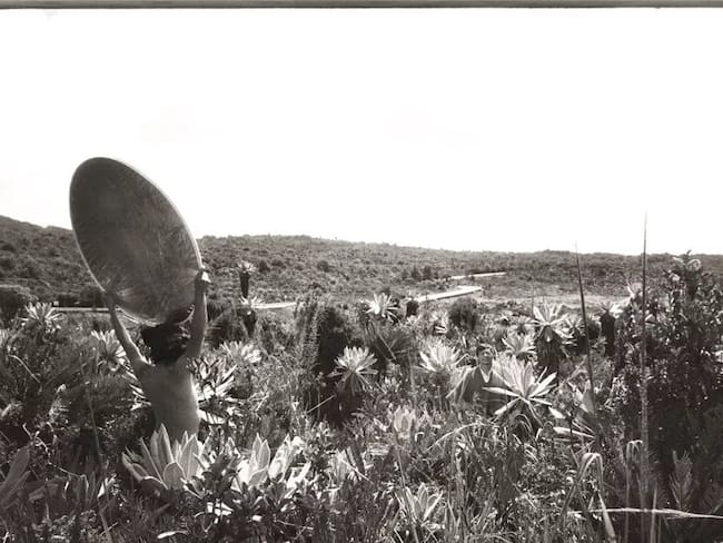 Cortesía: “Sour Lake” de Andrés Dávila