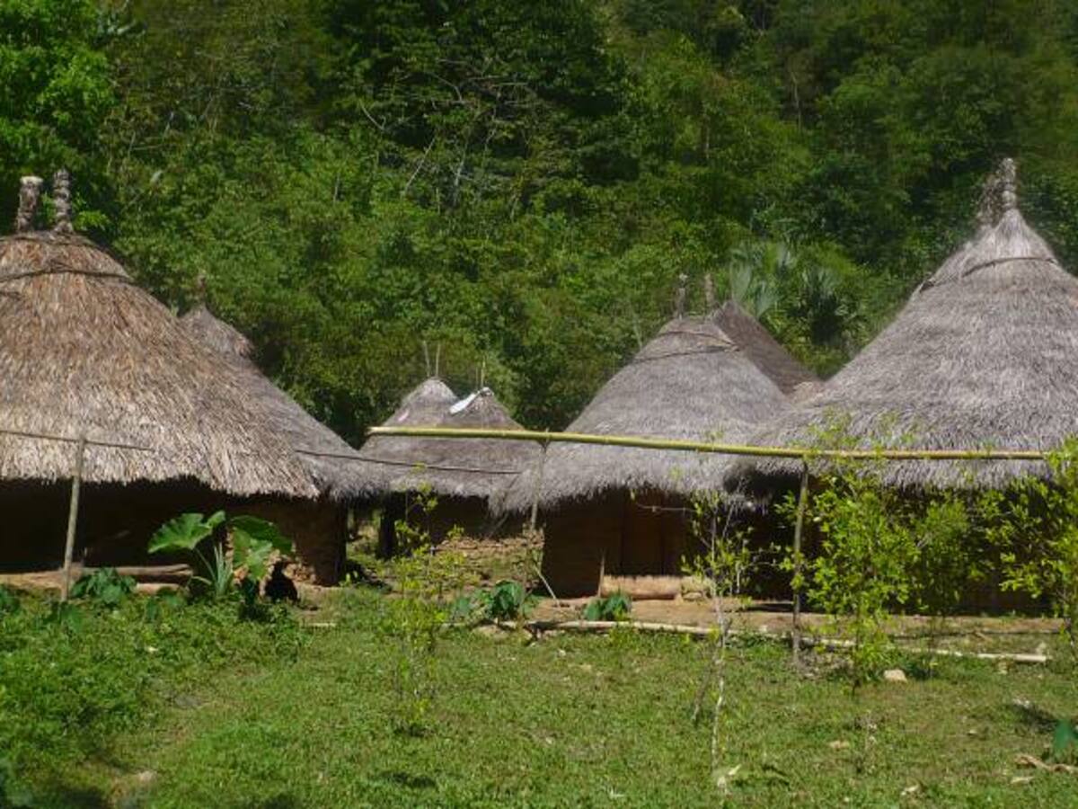 Reportan 30 casos de niños desnutridos en resguardo indígena de la Sierra Nevada