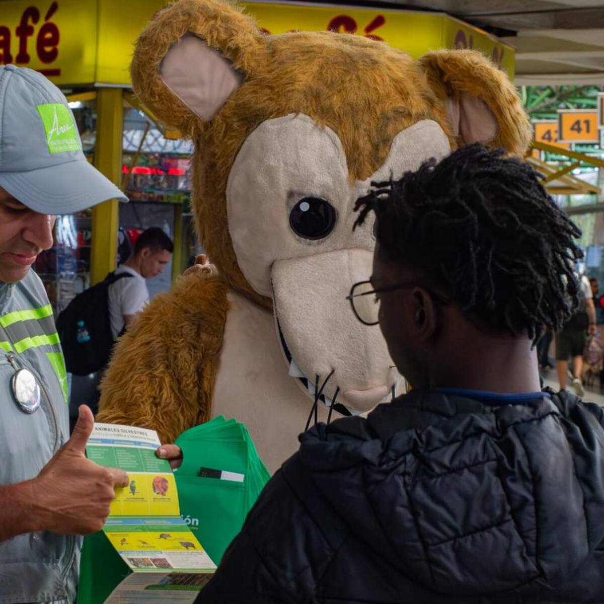 541 animales silvestres fueron recuperados durante Semana Santa en Antioquia