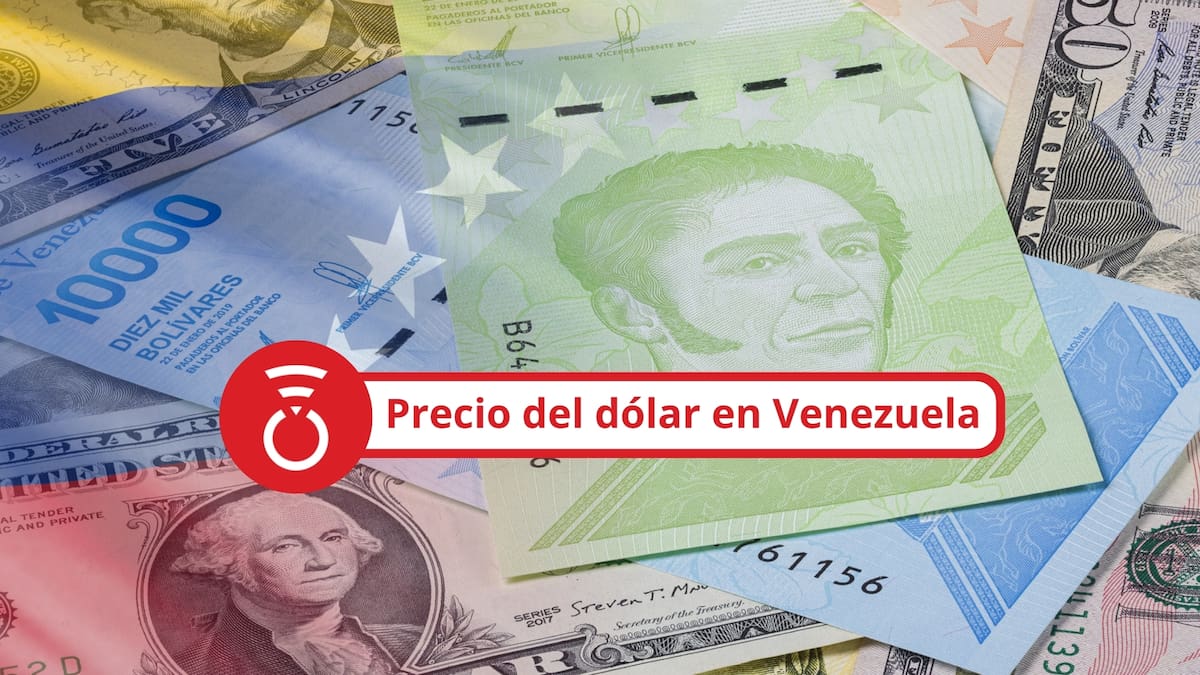 Precio del dólar en Venezuela aumenta para HOY 11 de junio de 2026: Así cotizan tasas de cambio