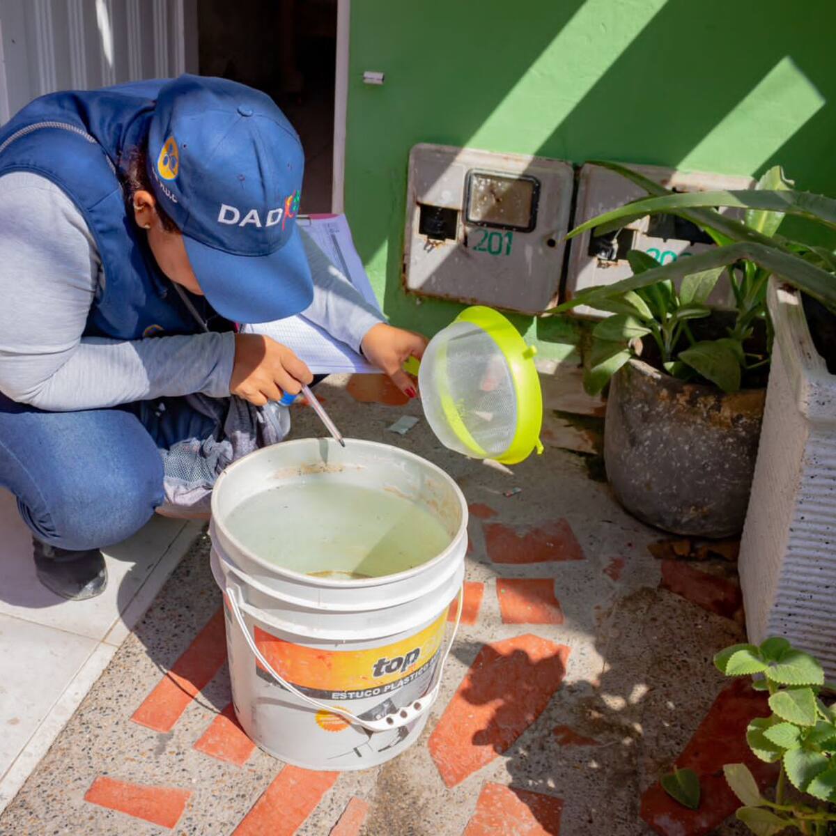 Cartagena registra 286 casos de dengue en lo que va del 2024