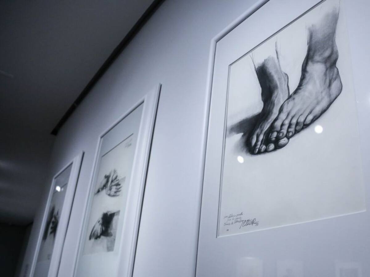 IPCC amplía plazo de convocatoria para artistas en Cartagena