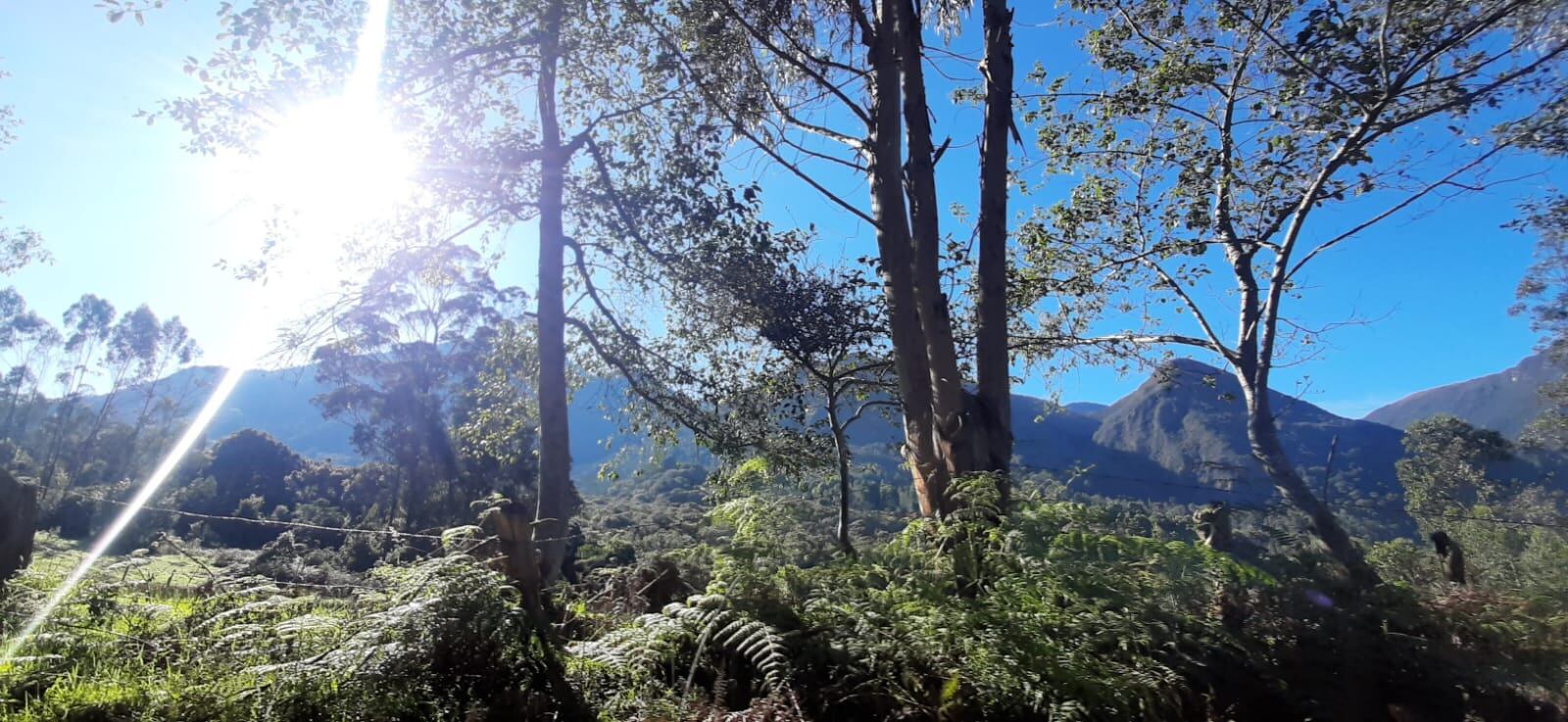 Imagen de archivo - Caracol Radio Pereira.