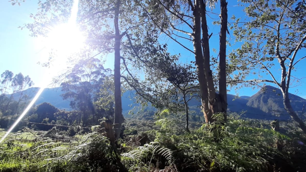 Alerta en Risaralda ante posibles consecuencias del fenómeno de El Niño