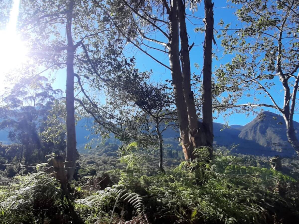 Alerta en Risaralda ante posibles consecuencias del fenómeno de El Niño
