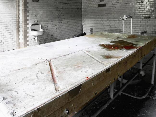 ¡Inaudito! En el municipio de Plato se realizan necropsias en las tumbas al aire libre