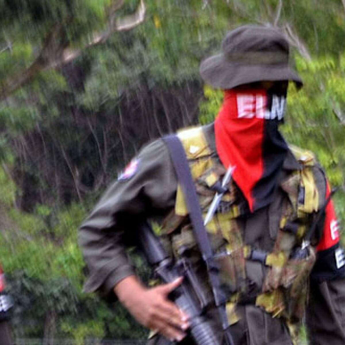 Dos integrantes del ELN se entregaron al Ejército tras ofensiva militar en Cañón del Micay