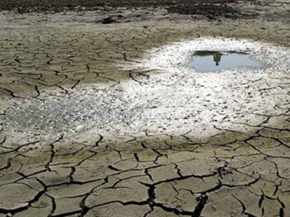 Alistan declaratoria de emergencia para Bolívar por estragos de la sequía