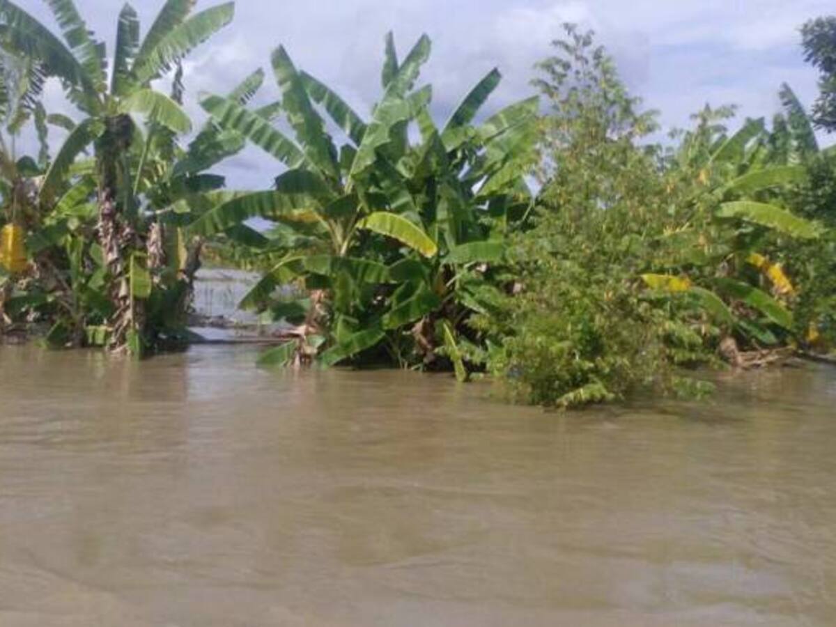 Apareció muerto líder social de Cáceres, Antioquia