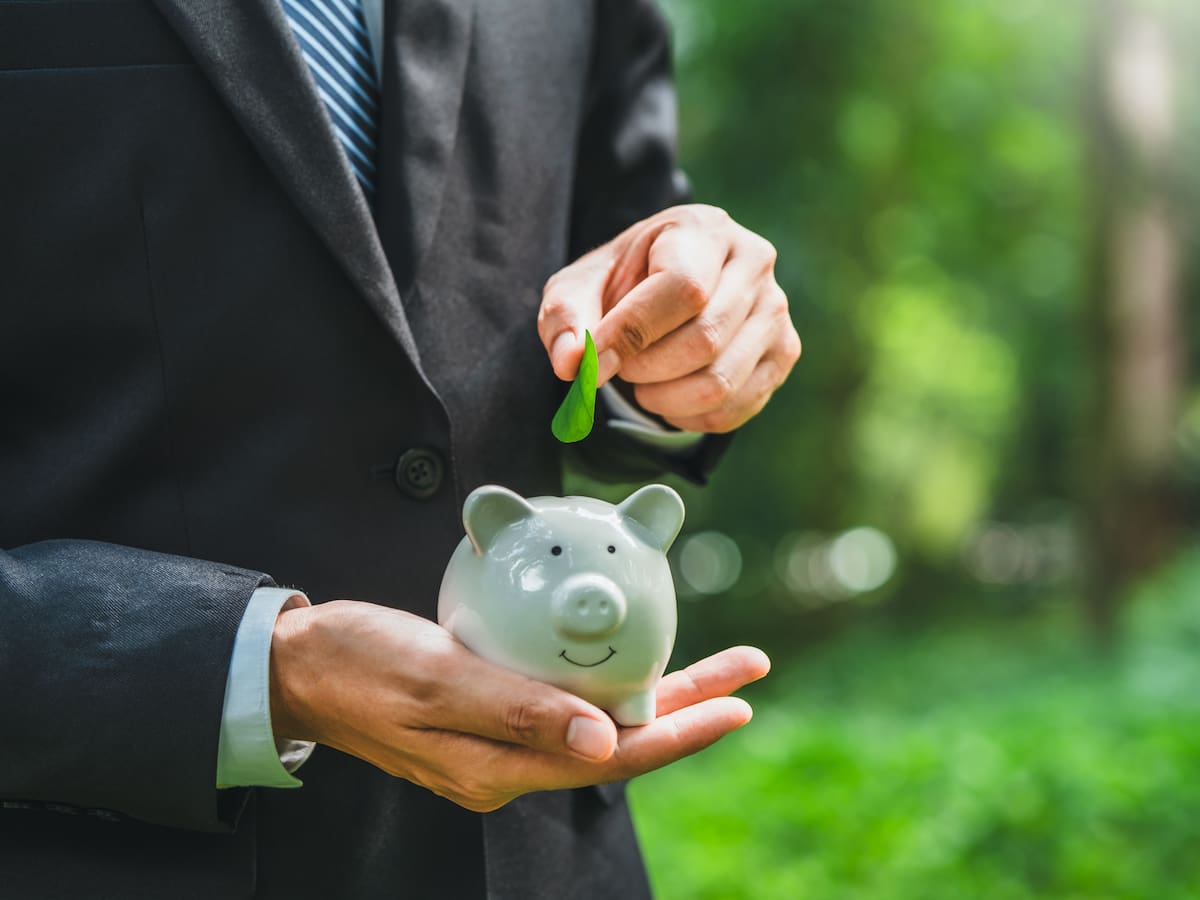 Bonos de carbono: ¿qué son? y ¿para qué sirven?