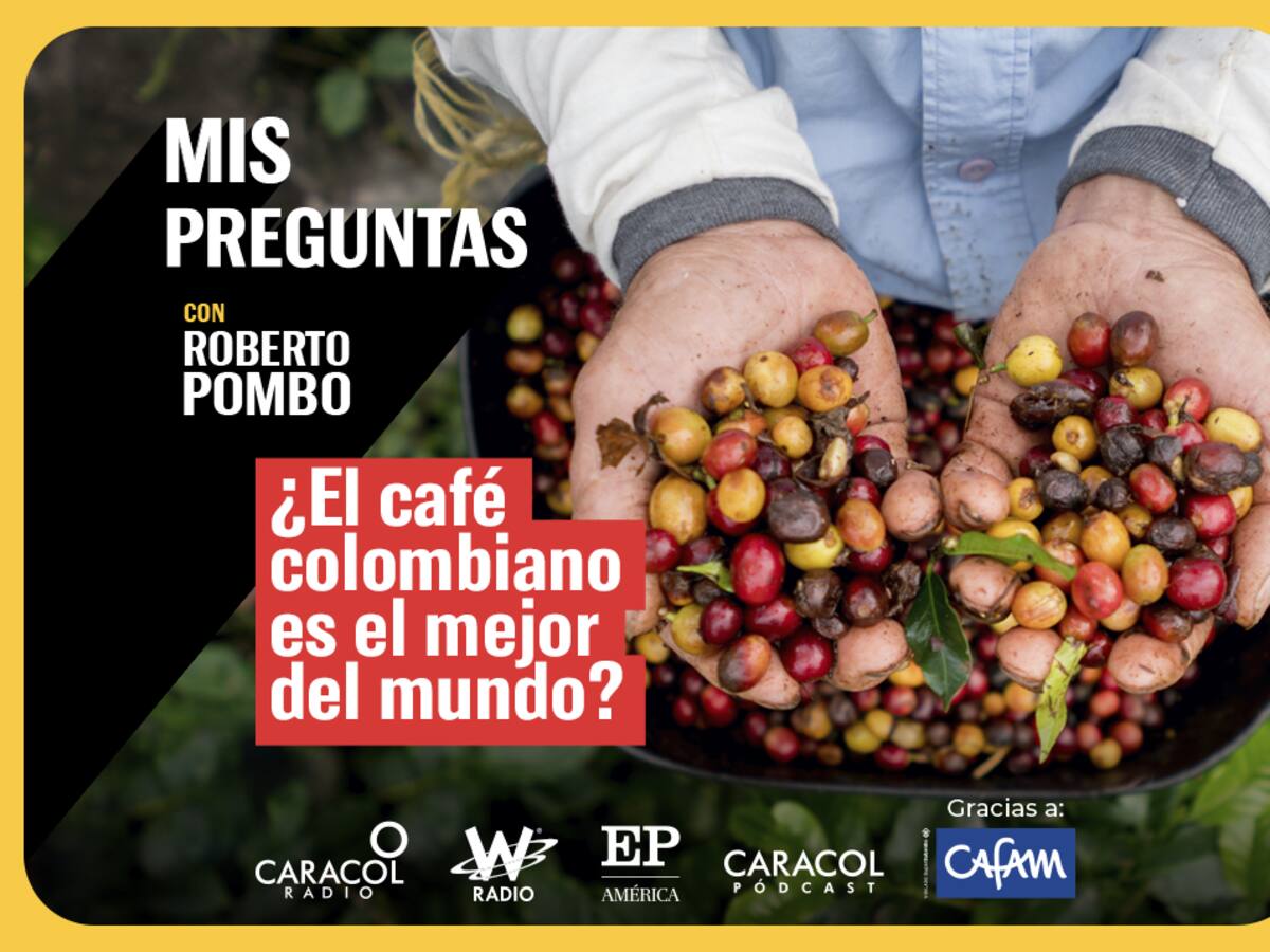 Mis Preguntas con Roberto Pombo ¿Sigue siendo Colombia una potencia cafetera?