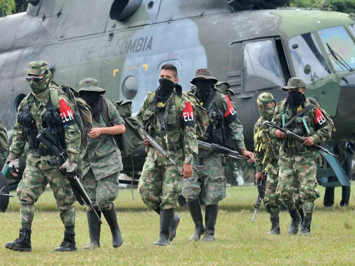 ELN tiene presencia en 14 estados de Venezuela: ong Fundaredes