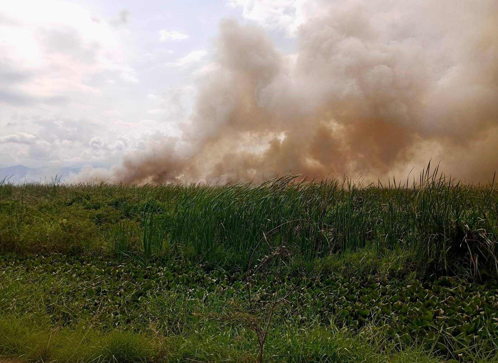 Para la CVC, más allá del fuego, lo que está en juego es la biodiversidad, el agua y los procesos ecológicos que sostienen la vida en la región.