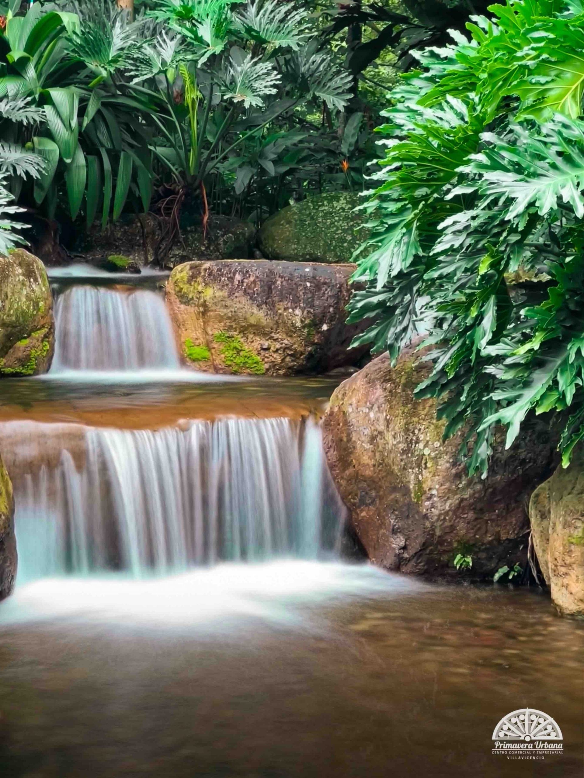 El único centro comercial de Colombia que tiene un ‘bosque tropical’: Es a 120 km de Bogotá. Crédito: Primavera Urbana